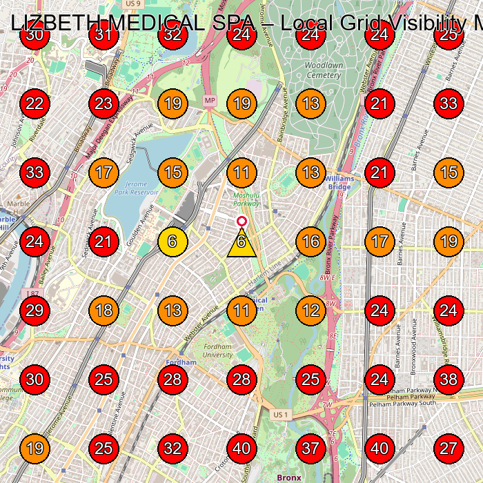 LIZBETH MEDICAL SPA GeoGrid visibility map for Medical Spa in Bronx